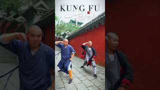 Chinese Kungfu