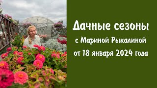 Дачные сезоны с Мариной Рыкалиной от 18 января 2024 года