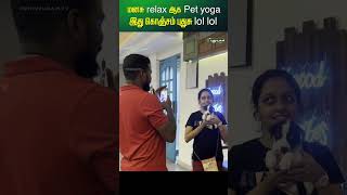 India's first pet yoga with shelter pets | iiiyyyy!!! இது நல்ல இருக்கு!!!!#puppyyoga