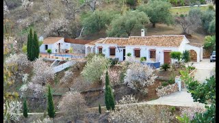 AX1263 - Casa Calorino, immaculate country villa near Comares