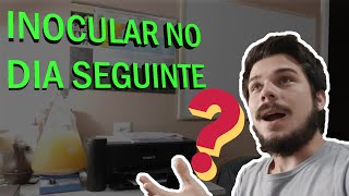 POSSO INOCULAR LEVEDURA NO DIA SEGUINTE - Respondendo Dúvidas #15