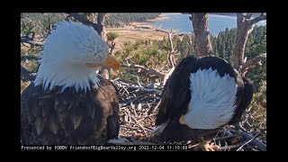 Jackie & Shadow spending a long time on the nest 🦅🌲🦅 December￼ 4/2022