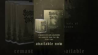 Burial Oath - Beyond the Vale of Shadowlands is available now! #metal #blackmetal #cassette