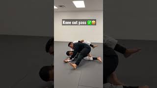 Knee cut pass 🤩✅ #bjj #jiujitsu #mma #brazilianjiujitsu #ufc #grappling #bjjlifestyle #muaythai