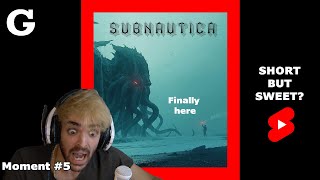 THE VOID in a nutshell - Subnautica