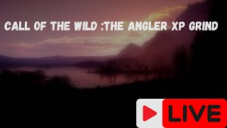 🔴 Call of the wild : the Angler🔴- Grinding xp and fishing Sunday fishing