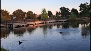 Lake 🦢view 🌷Relaxing  California walk