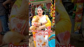 Persian cat price in Bangladesh | mirpur 1 pakhir hat | #shorts #vairalreels2024 #pakhi_pagla