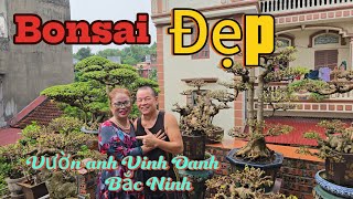 Bonsai đẹp và chất lượng anh chị Vinh Oanh Bắc Ninh