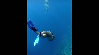 Diving at the Indians in the British Virgin Islands 🤿🇻🇬