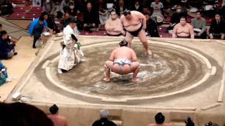 Tokyo Sumo Tournament- #1