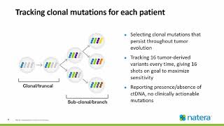 A ctDNA assay for remote monitoring and risk stratification