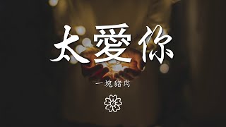 一塊豬肉 - 太愛你『我好想 和你一直走下去』【動態歌詞Lyrics】