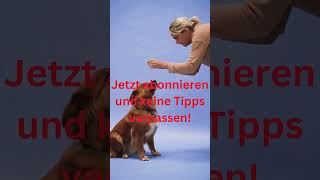 Bewegung + geistige Anregung #3 Kontakte mit Hunden und Menschen pflegen 🐶 #hund #hundegesundheit