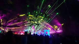 EDC MÉXICO 2020 - BIONIC JUNGLE