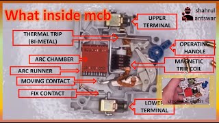 what inside mcb | let's take a journey