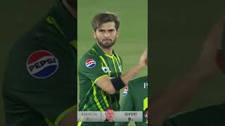 Shaheen Shah Afridi's 1st Over Wicket Obsession #PAKvNZ #SportsCentral #Shorts #PCB M2E2A