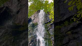 Waterfall  in Bad harzburg.. Germany 🇩🇪  #relaxingmusic #nature #waterfall #meditationmusic