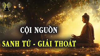 Do si mê tạo nghiệp đi trong sanh tử luân hồi - Lời Phật dạy