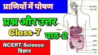 class-7|science प्राणियों में पोषण|Question answer|Chapter-2|विज्ञान ncert पाठ-2 प्रश्न उत्तर