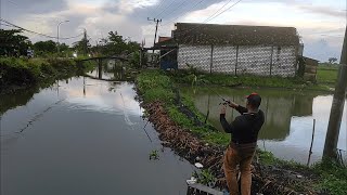 Istimewa, Casting Gabus Di Sungai Lamongan Bersama @yoyok_ANGGERBUDALMANCING dan @MEMELMANCING