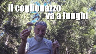 IL COGLIONAZZO VA A FUNGHI