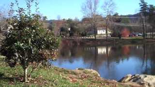 Lake Louise in Weaverville NC, 10 minutes from Asheville