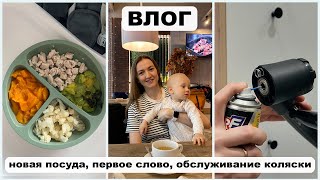 ВЛОГ: ПЕРВОЕ СЛОВО! | СМАЗАЛИ КОЛЯСКУ | ПОСУДА НА ПРИСОСКАХ