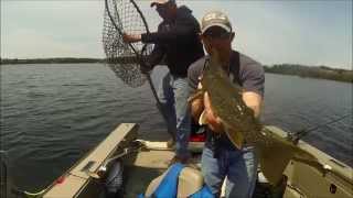 Lake of the Woods Lake Trout - May 2014