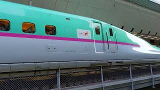 Tokyo Shinkansen train  #japan #tokyo #travel #funny #subscribe