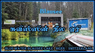 நீல ஏரியில் ஒரு நாள் பயணம் | Blausee Switzerland 4K | Beautiful Blue Lake | Swiss View |Switzerland