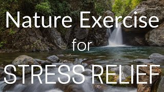 Mindful Nature Connection for Stress Release | Stress Relief Video