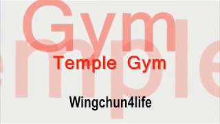 Temple Gym Martial Arts 17 KEYS of Wing Chun