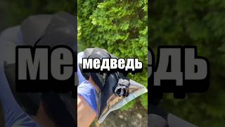 Случайные факты #факты