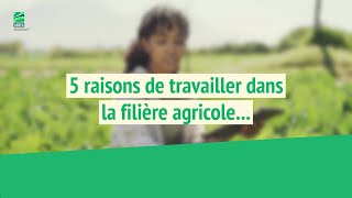 5 raisons de travailler dans la filière agricole