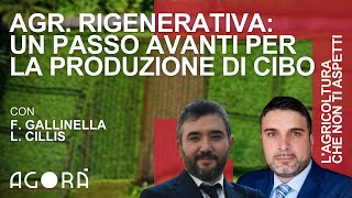 Agricoltura rigenerativa, un passo avanti per la produzione di cibo