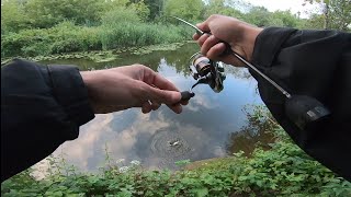 Полосатый Рейд по Микро-Речке. #мормышинг#fishing #наноджиг