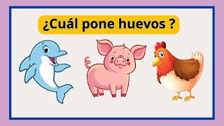 Prueba tu inteligencia infantil | Preguntas de cultura general parte 3 | Aprende con Gael y Owen