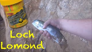 Crushing Trout At Loch Lomond CA!