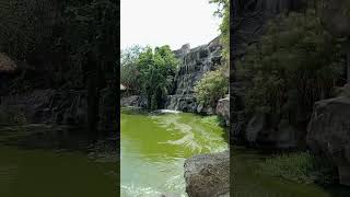 Pequeña Cascada en el Zoológico de Guadalajara, Jalisco México