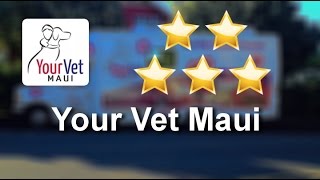 Your Vet Maui Kihei
Remarkable
5 Star Review by Keli T.