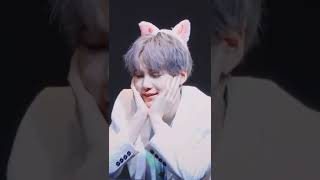 Why this lil meow so cute 😻💜💜#bts