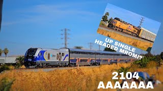 Railfanning Amtrak and UP at suisun/fairfield boarder on 10/20/24