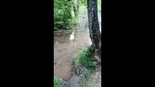 Bad Urach Waterfalls with intersting findings