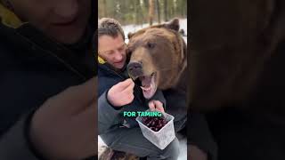 How to Tame an Untamable Bear ! #shorts