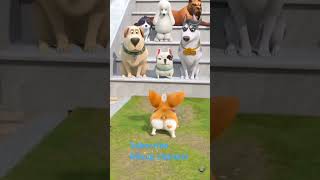 puppy want to fight 😭😭 #funny #chinutinu #cartoonhumor #comedy #cartoon #viralvideo  #viralcartoon