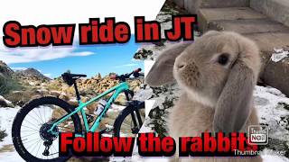 Snow Riding in JT |☃️ just follow the Rabbits 🐰|