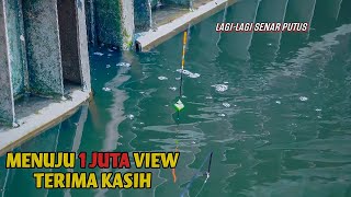 Semakin Jarang-Nya Pemancing,, Ikan Nila Besar Di Sungai Pintu Air Keramat Makin Galak&banyak