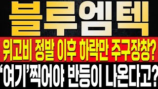 [블루엠텍 주가전망] 결국 다시 한번 하락만 주구장창 하는 이유는 재료의 소멸이라고!? 팩트와 다시 한번 반등이 나올 수 밖에 없는 이유는? 단기 대응 반드시 '이렇게'