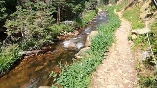 Fly Fishing RMNP for Native Greenback Cutthroat Trout